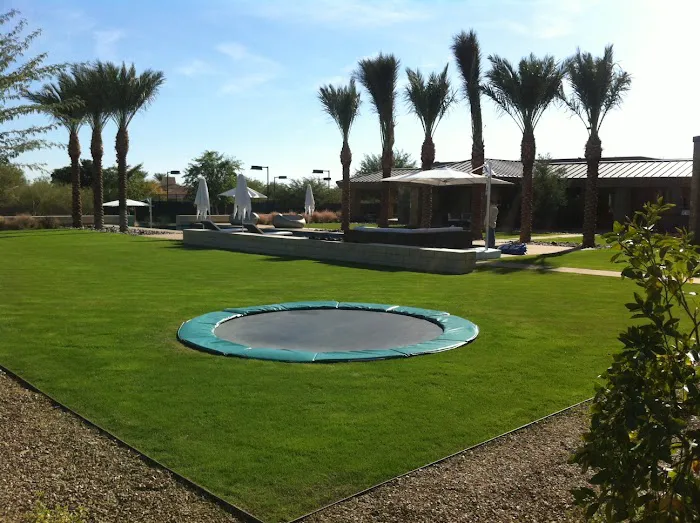 In-Ground Trampolines Picture 10
