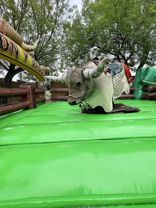 Extreme fun jumping Picture 9