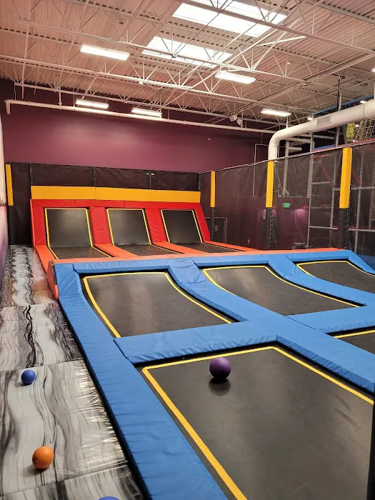 UPTOWN JUNGLE FUN PARK | Avondale Picture 7