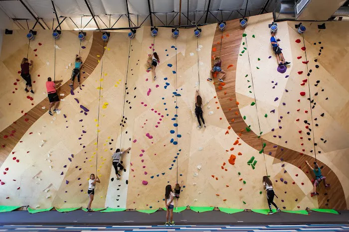 Gravity Extreme Zone Trampoline and Adventure Park Picture 9