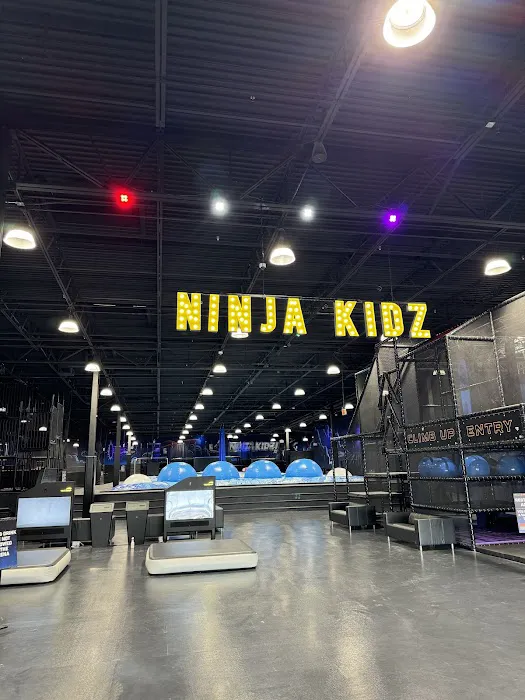 Ninja Kidz Action Park - Phoenix Picture 2