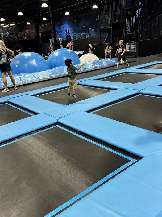 Ninja Kidz Action Park - Phoenix Picture 9