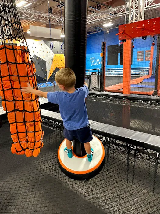 Sky Zone Trampoline Park Picture 1