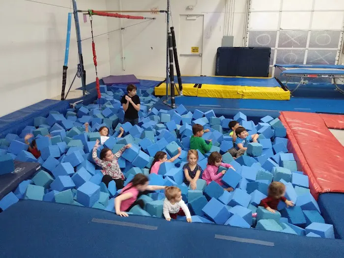 Scottsdale Gymnastics, Trampoline & Parkour Picture 1
