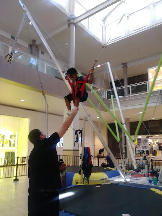 Crazy Bungee Picture 3