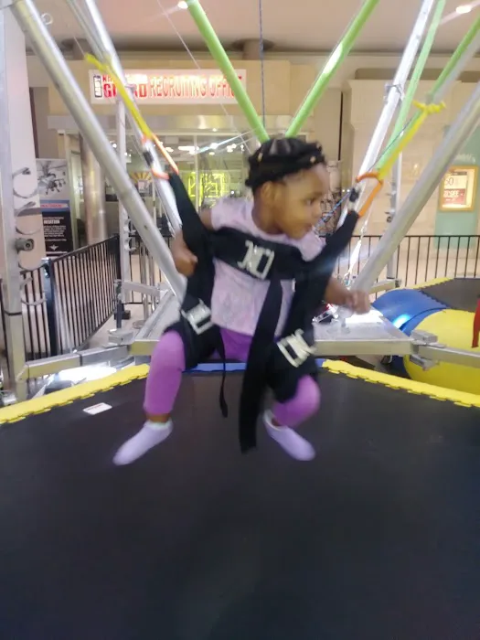 Crazy Bungee Picture 2