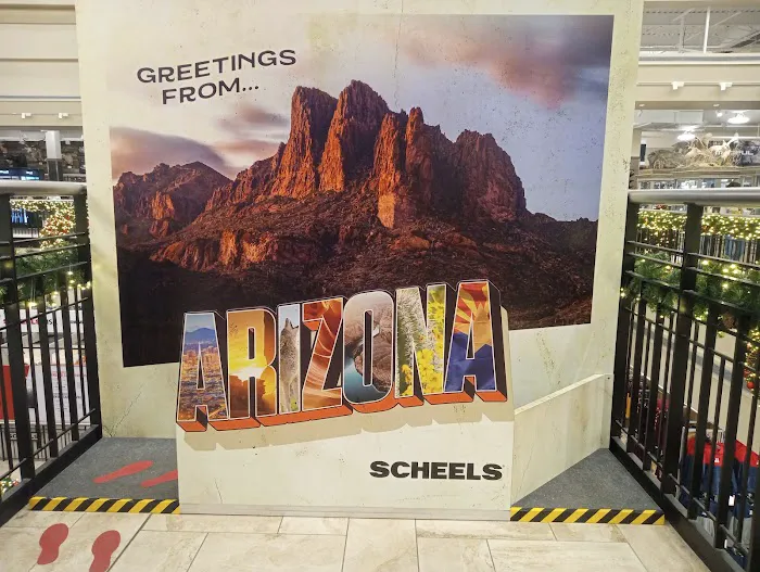 Scheels Picture 4
