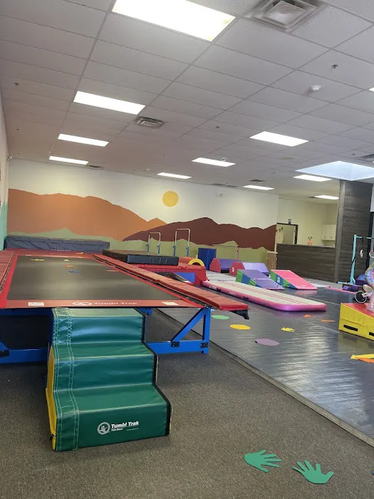 Little Champs Play + Tumbling Picture 5