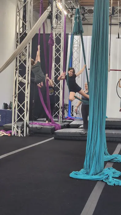 Aerial Ovation Picture 8