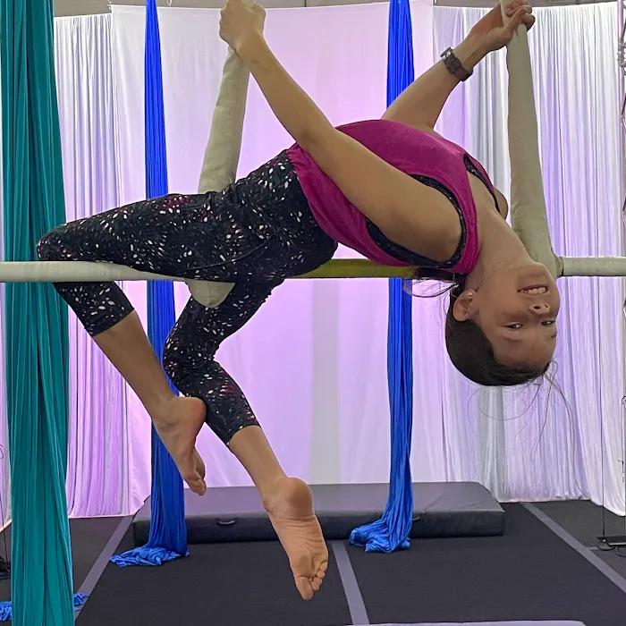 Aerial Ovation Picture 10