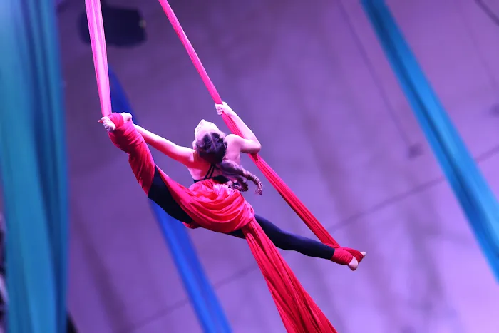Aerial Ovation Picture 5