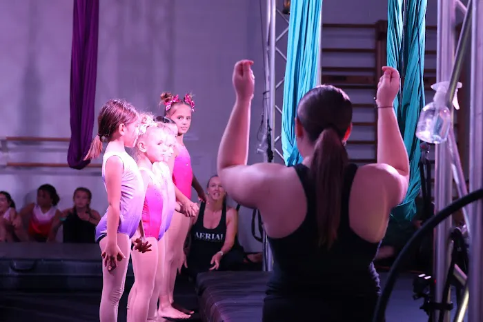 Aerial Ovation Picture 9