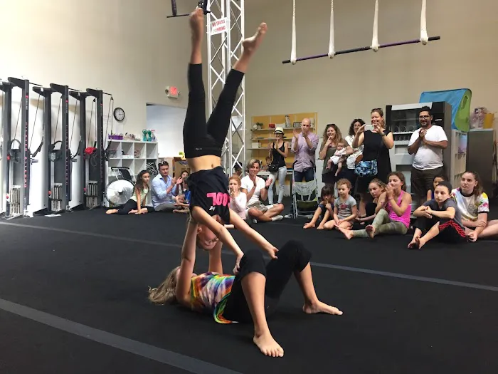 Aerial Ovation Picture 3