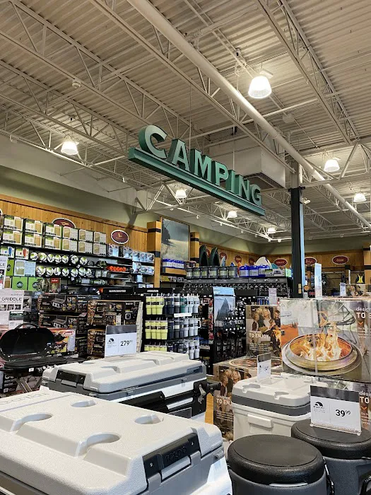 DICK'S Sporting Goods Picture 10