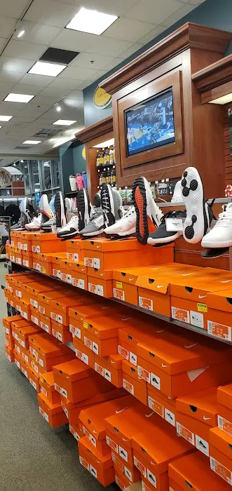 DICK'S Sporting Goods Picture 3