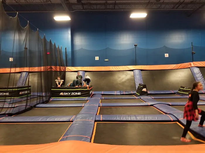 Sky Zone Trampoline Park Picture 2