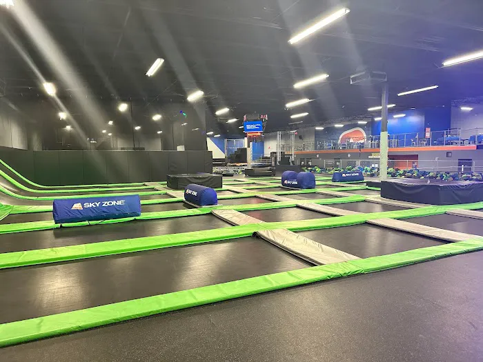 Sky Zone Trampoline Park Picture 2
