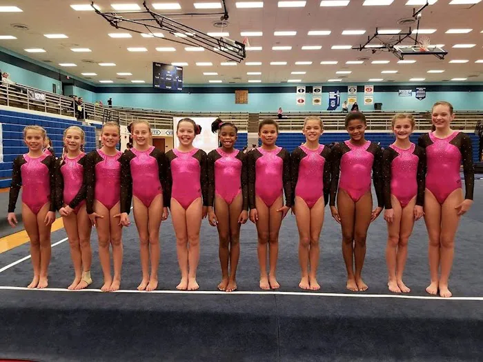 Fusion Gymnastics Picture 2