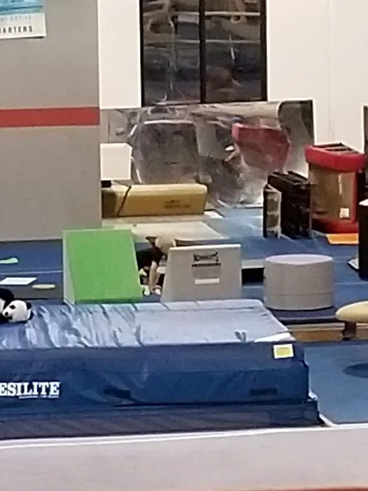 Fusion Gymnastics Picture 5