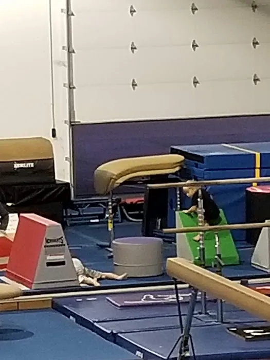 Fusion Gymnastics Picture 3