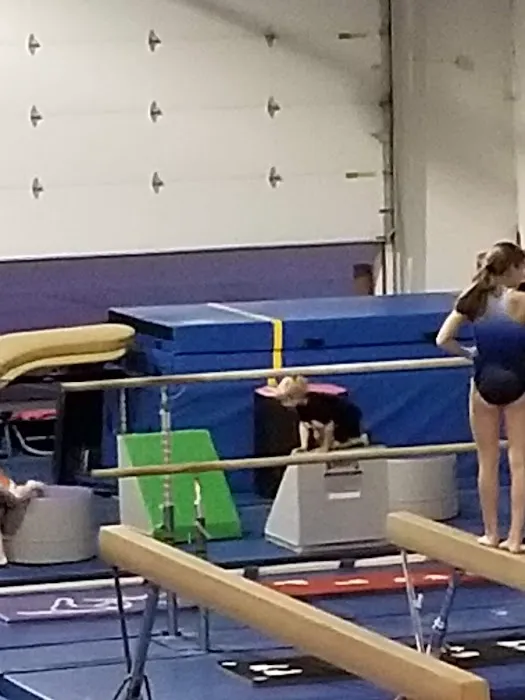 Fusion Gymnastics Picture 8