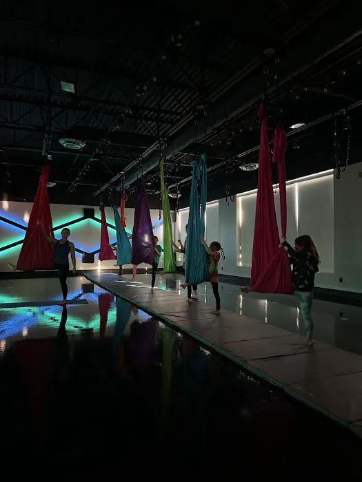 Fling Bungee Fitness - Pole Fitness, Lyra Hoop, Kids & Adult Aerial Yoga, Strength Training, Rebounder & Bachelorette Parties Picture 7