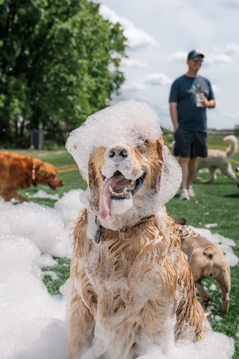 Foam-O-Fun Picture 1