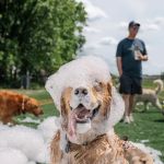 Foam-O-Fun