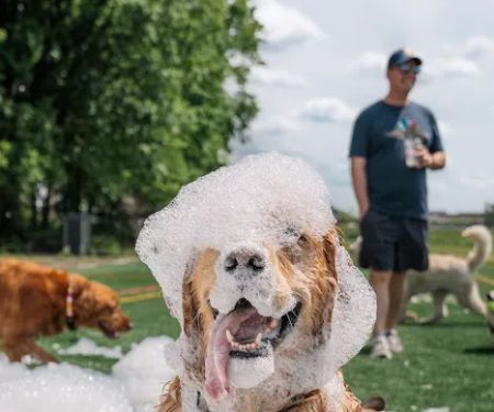 Foam-O-Fun