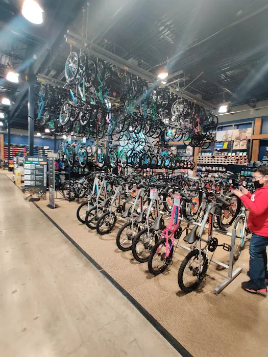 DICK'S Sporting Goods Picture 5