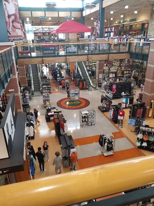 DICK'S Sporting Goods Picture 6