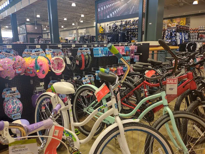 DICK'S Sporting Goods Picture 8