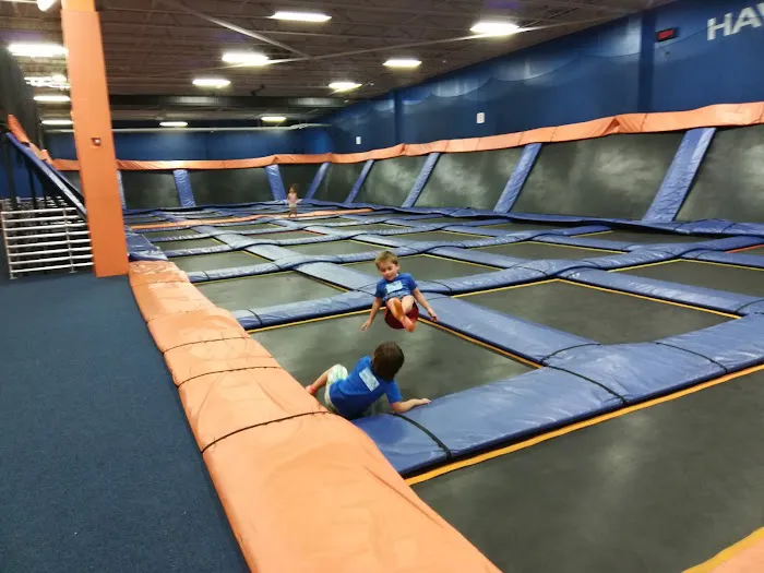 Sky Zone Trampoline Park Picture 3