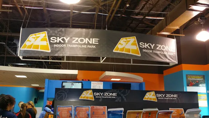 Sky Zone Trampoline Park Picture 5