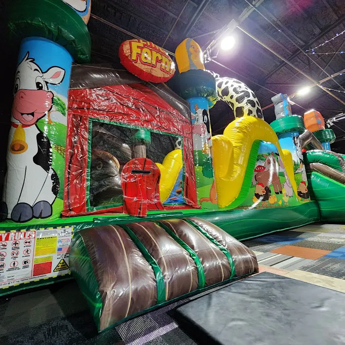 Jumping Jasper LLC Picture 2
