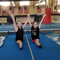 Vandergriff Gymnastics ico
