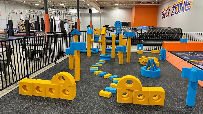 Sky Zone Trampoline Park Picture 3