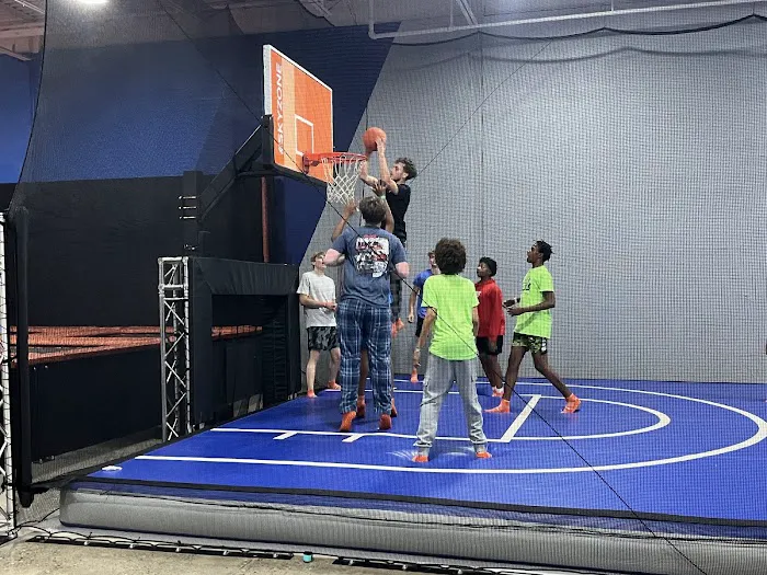 Sky Zone Trampoline Park Picture 5