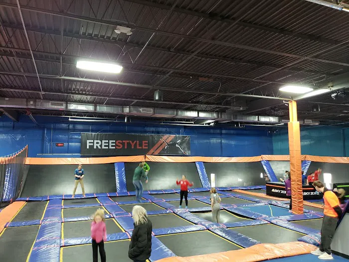 Sky Zone Trampoline Park Picture 1