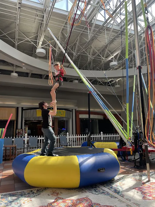 Jump Star Bungee trampoline Picture 2