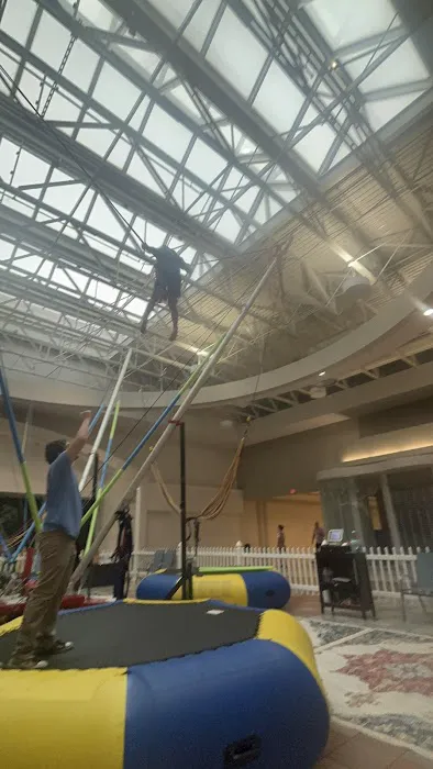 Jump Star Bungee trampoline Picture 5