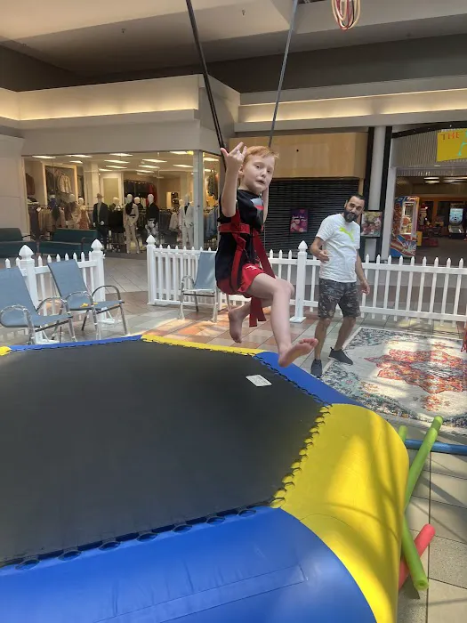 Jump Star Bungee trampoline Picture 6