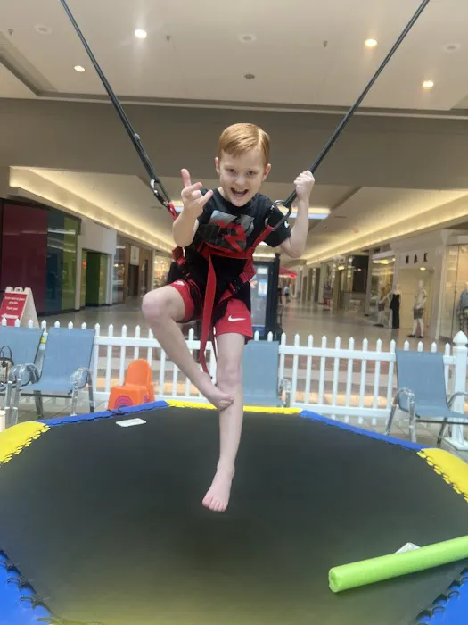 Jump Star Bungee trampoline Picture 4