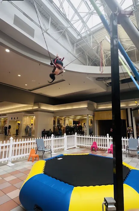 Jump Star Bungee trampoline Picture 7