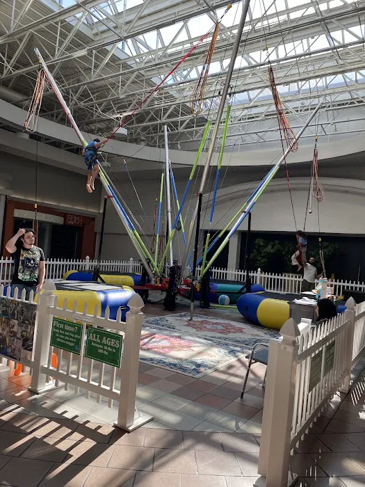 Jump Star Bungee trampoline Picture 8