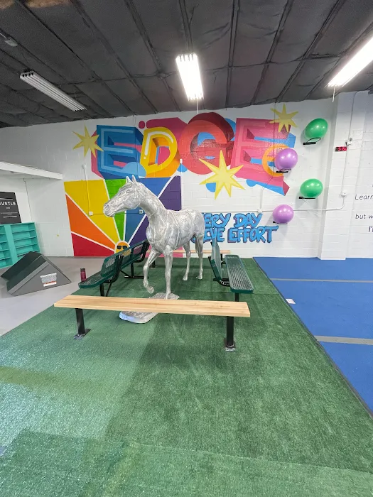 EDGE Kids Gym Picture 3