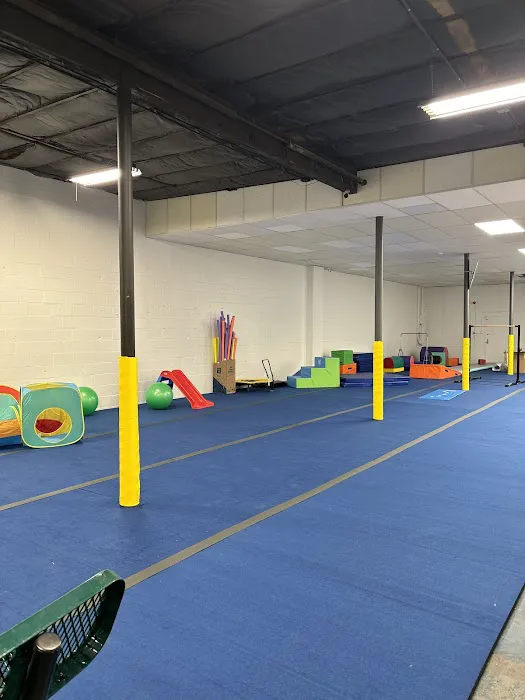EDGE Kids Gym Picture 2