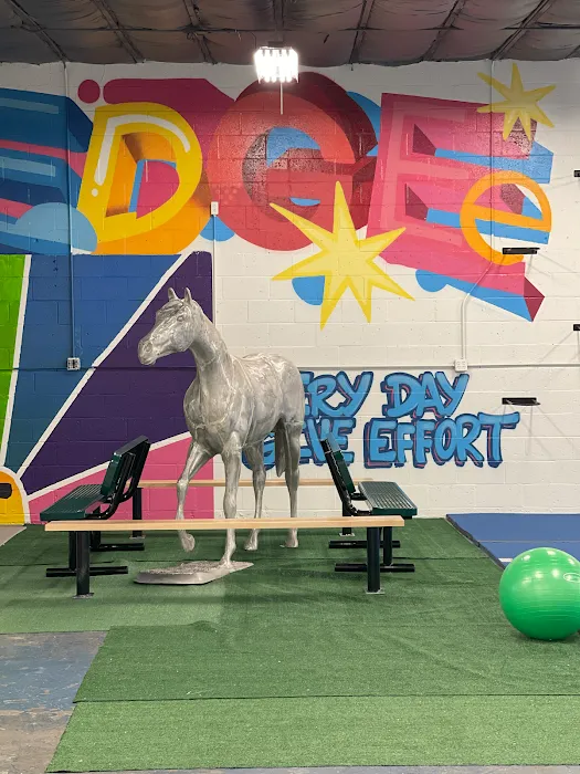 EDGE Kids Gym Picture 5
