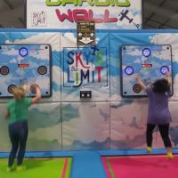 Sky's the Limit ico