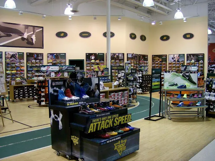 DICK'S Sporting Goods Picture 9